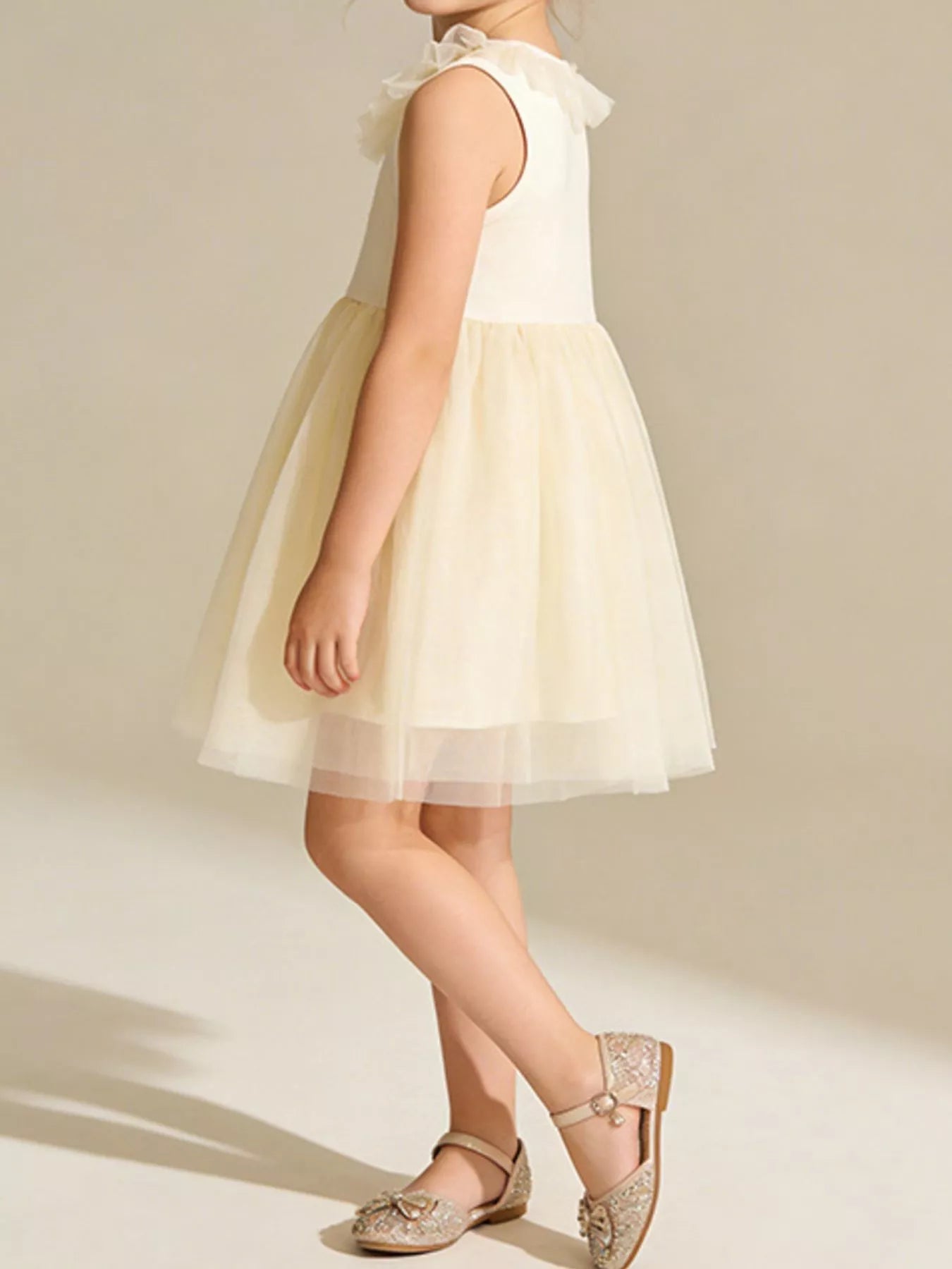Grace Ruffle Collar Tulle Dress - Tiny Haven